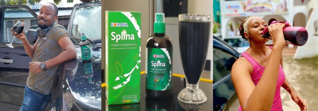 edmark splina chlorophyll