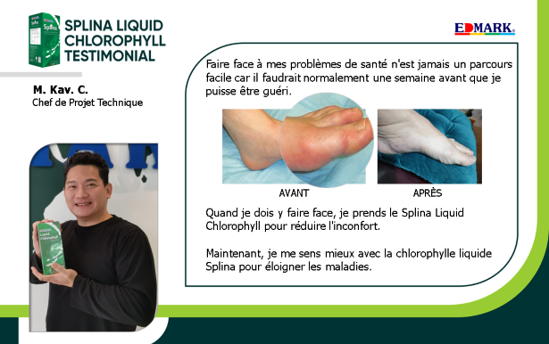 splina chlorophylle boost 6